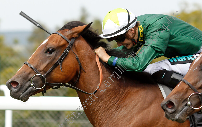 Glance-0004 
 GLANCE (Harry Bentley) wins The Netbet Best Odds Guaranteed EBF Fillies Novice Stakes
Goodwood 4 Sep 2018 - Pic Steven Cargill / Racingfotos.com