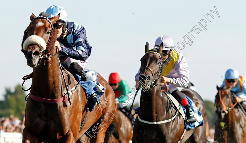 Que-Amoro-0005 
 QUE AMORO (Phil Dennis) wins The Sky Bet Apprentice Handicap
York 24 Aug 2019 - Pic Steven Cargill / Racingfotos.com