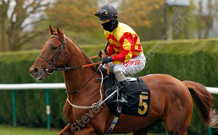 Sir-Ron-Priestley-0002 
 SIR RON PRIESTLEY (Franny Norton) winner of The Mansionbet Barry Hill Further Flight Stakes
Nottingham 7 Apr 2021 - Pic Steven Cargill / Racingfotos.com