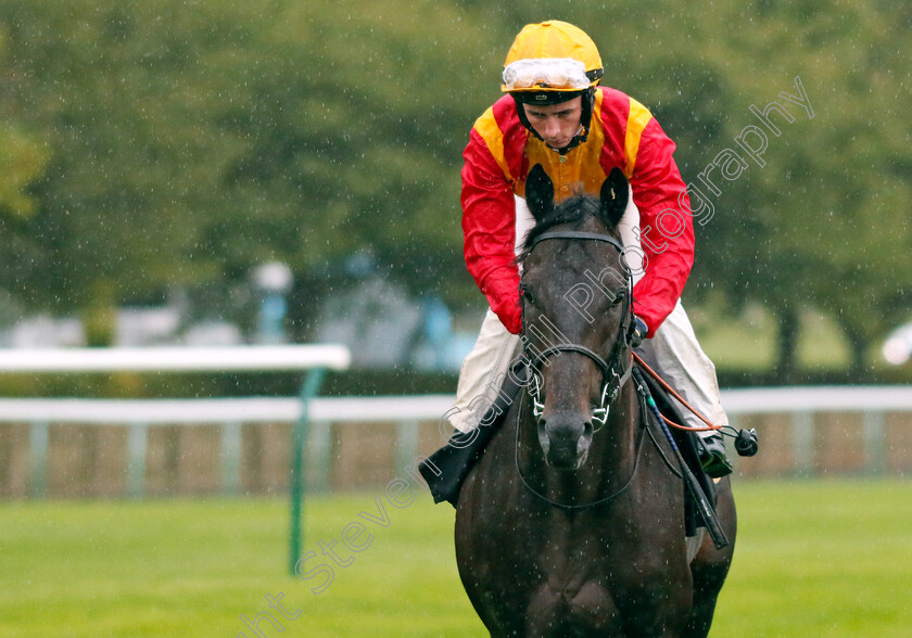 Don-Simon-0001 
 DON SIMON (Rossa Ryan)
Newmarket 26 Sep 2024 - pic Steven Cargill / Racingfotos.com