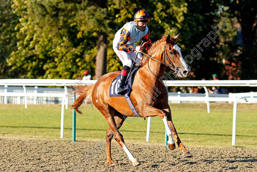 Anisoptera-0001 
 ANISOPTERA (Shane Kelly)
Lingfield 4 Aug 2020 - Pic Steven Cargill / Racingfotos.com