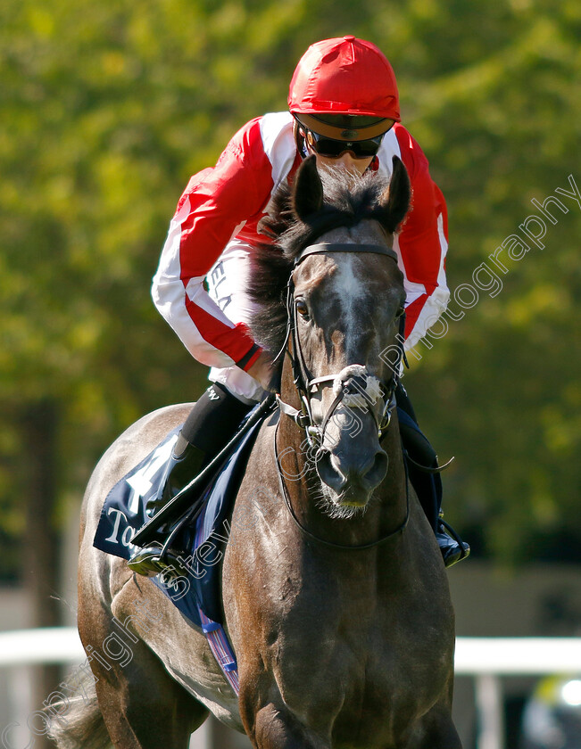 Berkshire-Shadow-0002 
 BERKSHIRE SHADOW (Jason Watson)
Salisbury 11 Aug 2022 - Pic Steven Cargill / Racingfotos.com