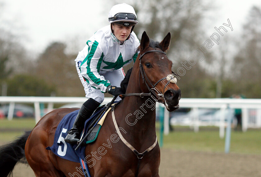 Zorro s-Girl-0001 
 ZORRO'S GIRL (Hollie Doyle)
Lingfield 2 Mar 2019 - Pic Steven Cargill / Racingfotos.com