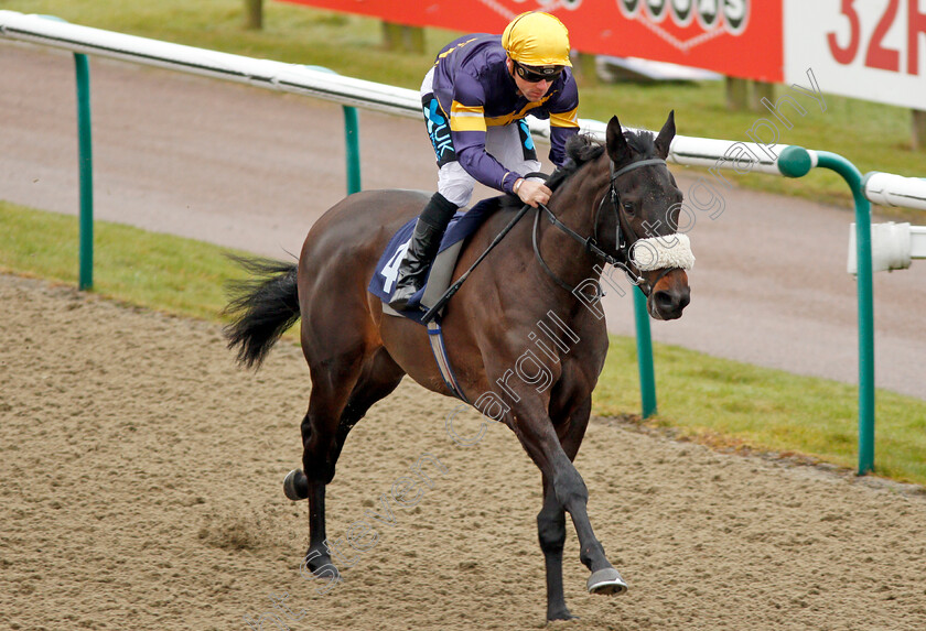 Dancing-Brave-Bear-0008 
 DANCING BRAVE BEAR (Stevie Donohoe) wins The 32Red Casino EBF Fillies Novice Stakes Lingfield 20 Dec 2017 - Pic Steven Cargill / Racingfotos.com