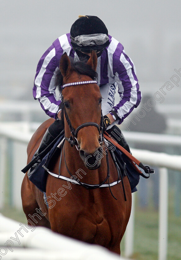 Hoodwinker-0001 
 HOODWINKER (Tom Marquand)
Doncaster 7 Nov 2020 - Pic Steven Cargill / Racingfotos.com