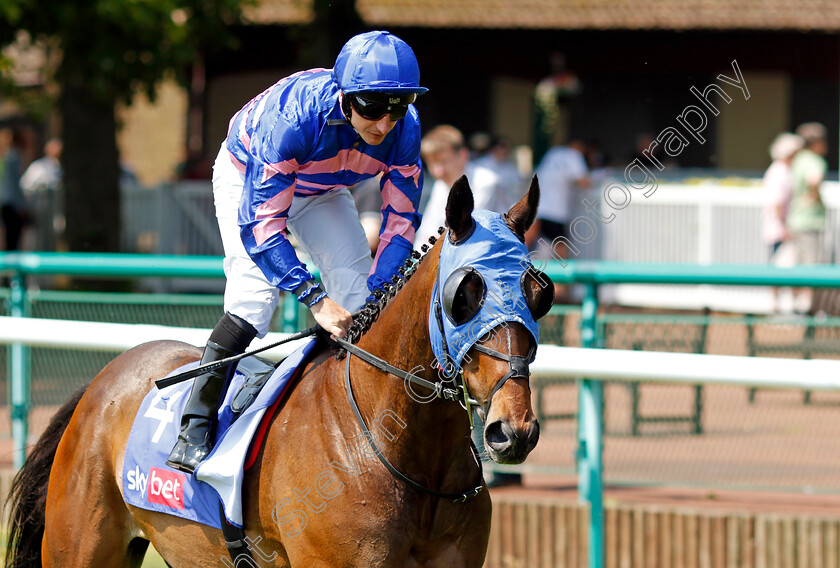 Fine-Wine-0002 
 FINE WINE (P J McDonald)
Haydock 10 Jun 2023 - Pic Steven Cargill / Racingfotos.com