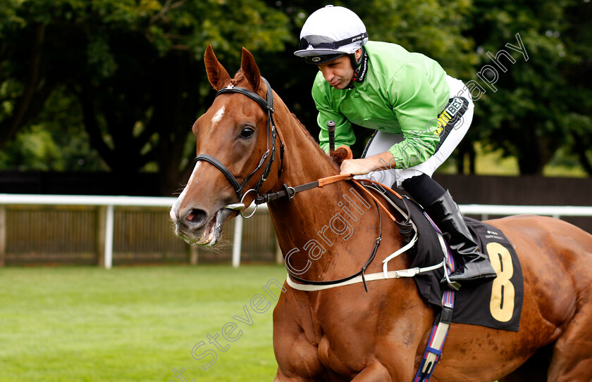 Arisaig-0001 
 ARISAIG (Neil Callan)
Newmarket 13 Jul 2024 - Pic Steven Cargill / Racingfotos.com