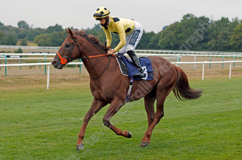 Frozen-Waters-0001 
 FROZEN WATERS (Harry Bentley)
Lingfield 14 Aug 2020 - Pic Steven Cargill / Racingfotos.com