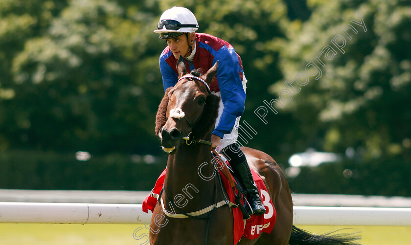 Korker-0001 
 KORKER (Pierrre-Louis Jamin)
Haydock 8 Jun 2024 - Pic Steven Cargill / Racingfotos.com