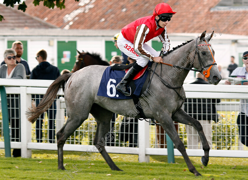 Connoisseur-0001 
 CONNOISSEUR (Luke Morris) Yarmouth 21 Sep 2017 - Pic Steven Cargill / Racingfotos.com