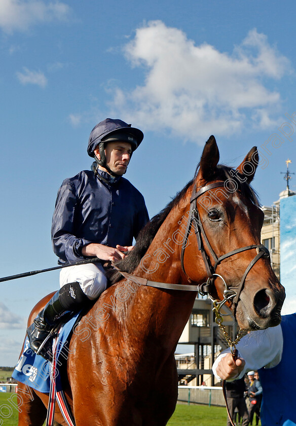 City-Of-Troy-0015 
 CITY OF TROY (Ryan Moore) winner of The Dewhurst Stakes
Newmarket 14 Oct 2023 - Pic Steven Cargill / Racingfotos.com