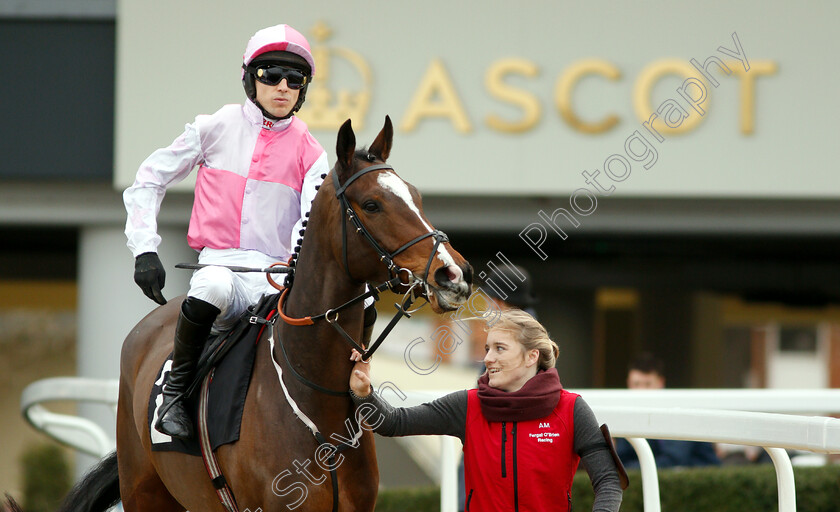 Ask-Dillon-0001 
 ASK DILLON (Paddy Brennan) before winning The Eventmasters.co.uk Maiden Hurdle
Ascot 21 Dec 2018 - Pic Steven Cargill / Racingfotos.com