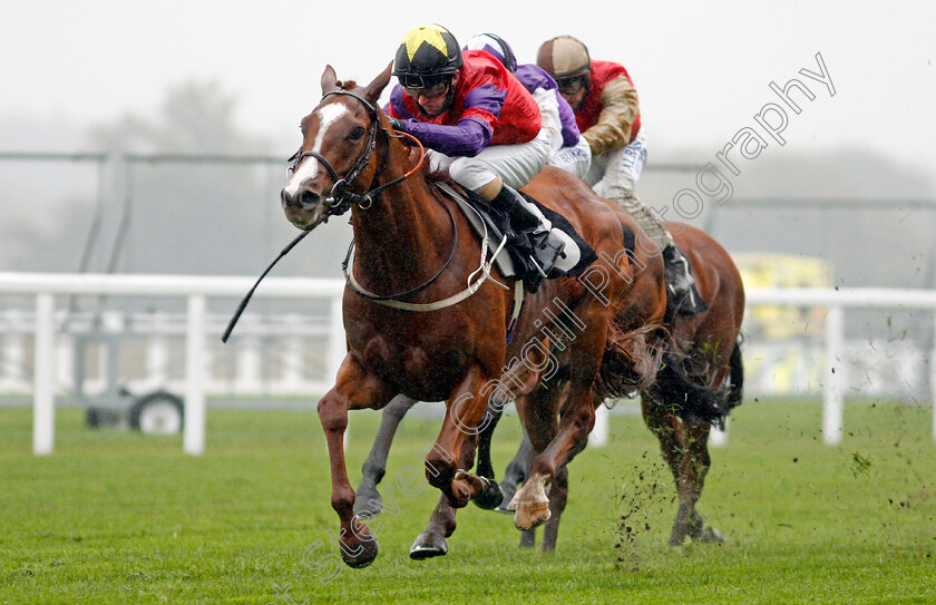 Rochester-House-0002 
 ROCHESTER HOUSE (Joe Fanning) wins The ABF Soldiers' Charity Gordon Carter Handicap
Ascot 2 Oct 2020 - Pic Steven Cargill / Racingfotos.com