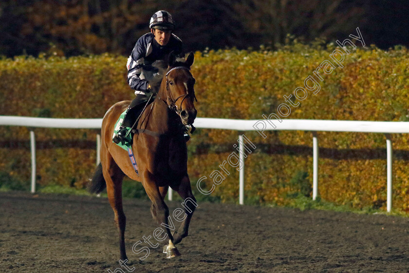 Heckmondwike-0001 
 HECKMONDWIKE (Charles Bishop) 
Kempton 15 Nov 2023 - Pic Steven Cargill / Racingfotos.com