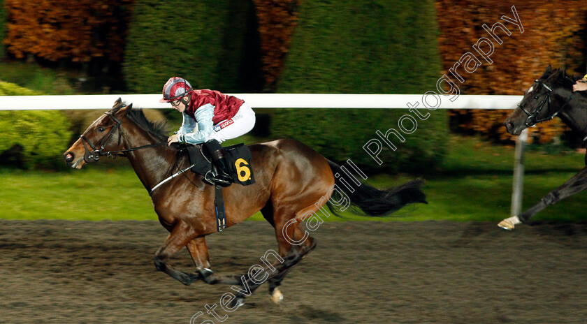 Bella-Brazil-0003 
 BELLA BRAZIL (Hollie Doyle) wins The 32Red Nursery Handicap
Kempton 27 Nov 2019 - Pic Steven Cargill / Racingfotos.com