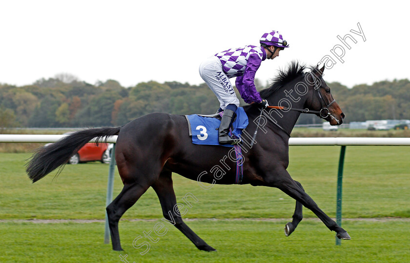 Corgi-0001 
 CORGI (Oisin Murphy) Nottingham 18 Oct 2017 - Pic Steven Cargill / Racingfotos.com