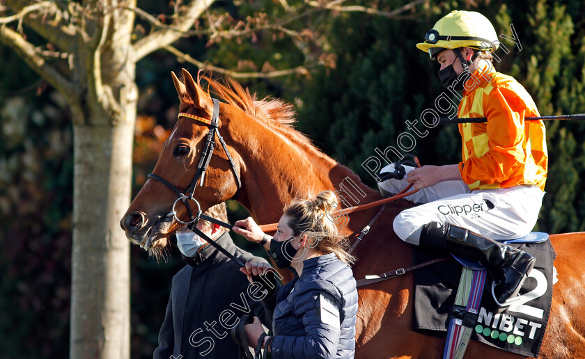 Sleeping-Lion-0003 
 SLEEPING LION (Kieran Shoemark) winner of The Unibet 15 To Go Queen's Prize Handicap
Kempton 5 Apr 2021 - Pic Steven Cargill / Racingfotos.com