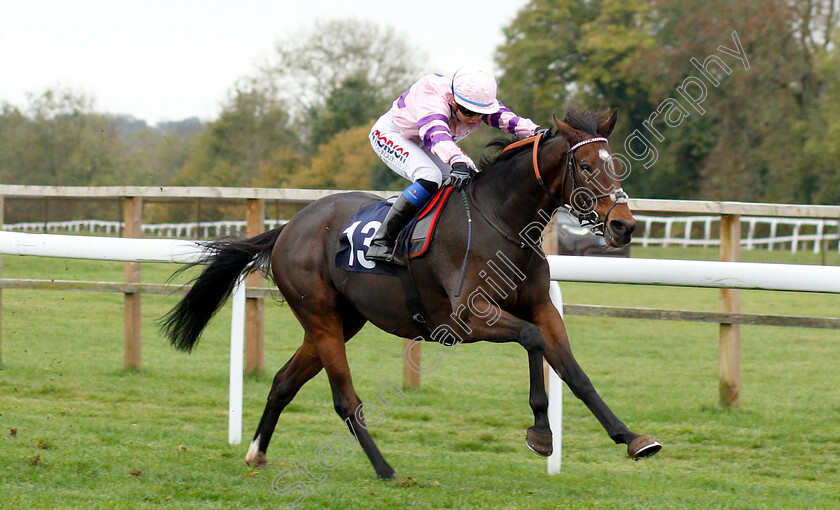 Divin-Bere-0002 
 DIVIN BERE (Megan Nicholls) wins The Octagon Consultancy Handicap
Bath 17 Oct 2018 - Pic Steven Cargill / Racingfotos.com