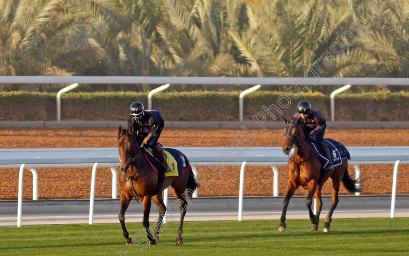 Authority-and-Lauda-Sion-0001 
 AUTHORITY training for The Neom Turf Cup leading LAUDA SION (Turf Sprint)
King Abdulaziz Racetrack, Riyadh, Saudi Arabia 22 Feb 2022 - Pic Steven Cargill / Racingfotos.com