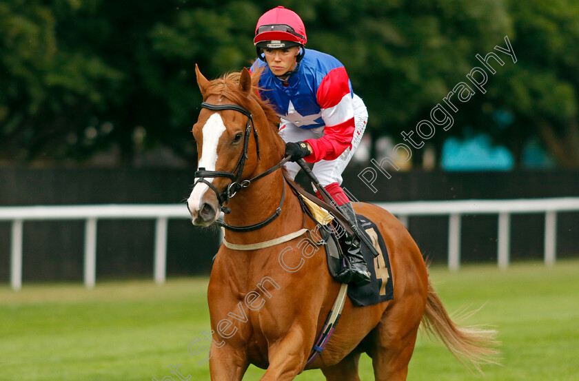 Golden-Duke 
 GOLDEN DUKE (Faye McManoman)
Newmarket 29 Jul 2022 - Pic Steven Cargill / Racingfotos.com