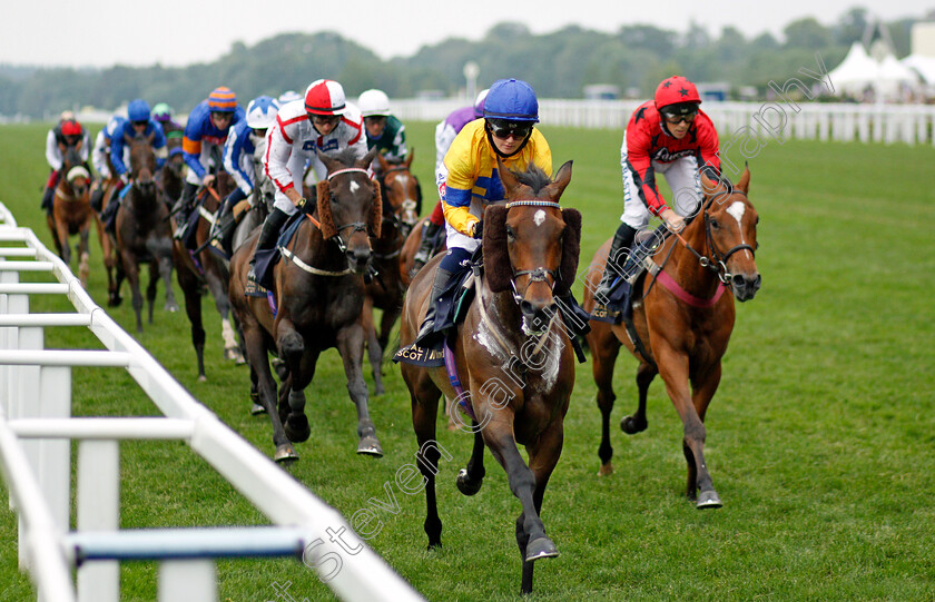 Stag-Horn-0001 
 STAG HORN (Hollie Doyle)
Ascot 19 Jun 2021 - Pic Steven Cargill / Racingfotos.com