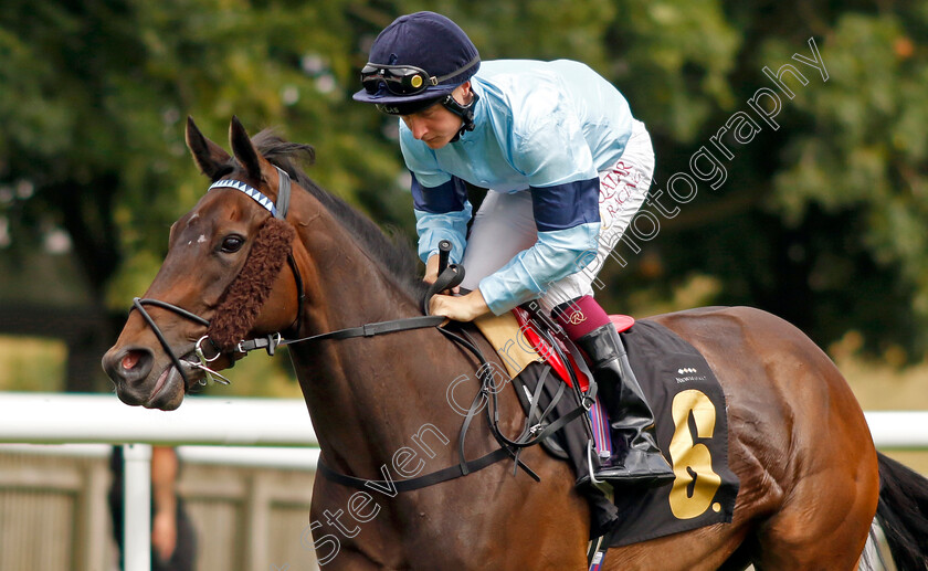 Cashew 
 CASHEW (Cieren Fallon)
Newmarket 30th July 2022 - Pic Steven Cargill / Racingfotos.com