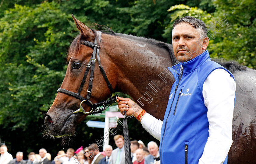 Ancient-Truth-0009 
 ANCIENT TRUTH winner The bet365 Superlative Stakes
Newmarket 13 Jul 2024 - Pic Steven Cargill / Racingfotos.com