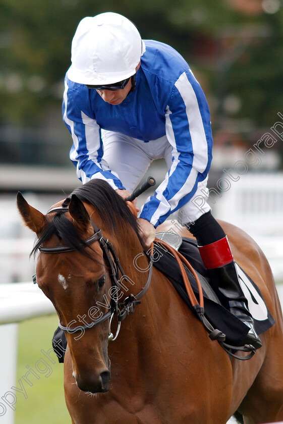 Pink-Iceburg-0001 
 PINK ICEBURG (Shane Kelly)
Newbury 17 Aug 2018 - Pic Steven Cargill / Racingfotos.com