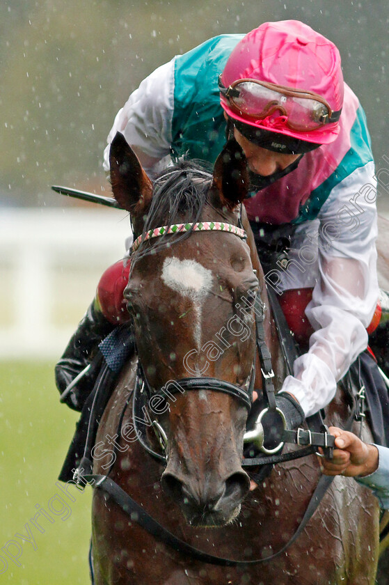 Enable-0022 
 ENABLE (Frankie Dettori) after The King George VI And Queen Elizabeth Stakes
Ascot 25 Jul 2020 - Pic Steven Cargill / Racingfotos.com