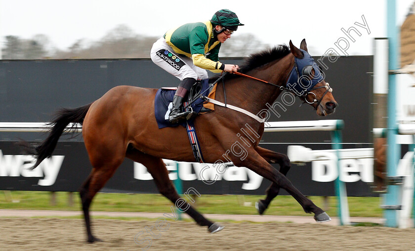 Navajo-Star-0003 
 NAVAJO STAR (William Carver) wins The Betway Stayers Apprentice Handicap
Lingfield 2 Mar 2019 - Pic Steven Cargill / Racingfotos.com