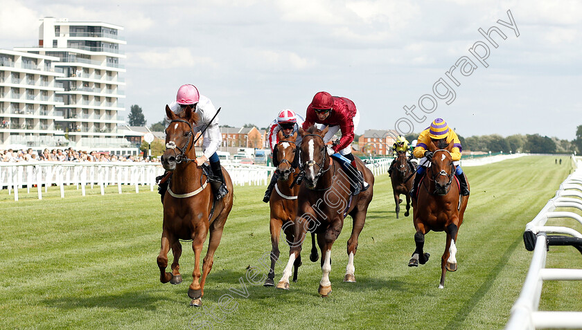 What-A-Welcome-0002 
 WHAT A WELCOME (left, Joey Haynes) beats SKY EAGLE (centre) and CLIFFS OF DOVER (right) in The Big Group Insight Hanidcap
Newbury 17 Aug 2018 - Pic Steven Cargill / Racingfotos.com