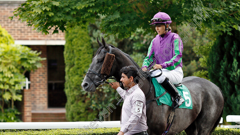 Soar-Above-0003 
 SOAR ABOVE (Morgan Cole) before winning The 32Red On The App Store Apprentice Handicap
Kempton 10 Jul 2019 - Pic Steven Cargill / Racingfotos.com