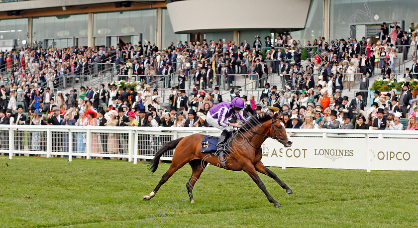 Point-Lonsdale-0003 
 POINT LONSDALE (Ryan Moore) wins The Chesham Stakes
Royal Ascot 19 Jun 2021 - Pic Steven Cargill / Racingfotos.com