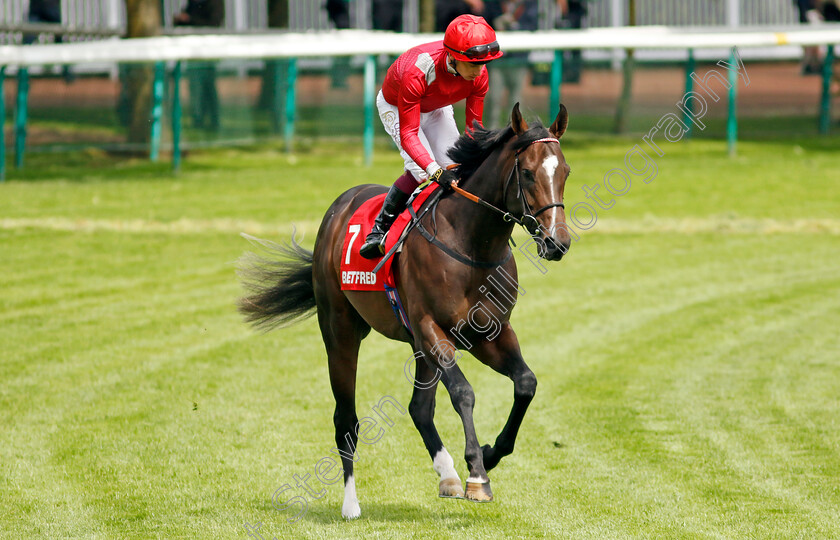 Sir-Les-Patterson-0001 
 SIR LES PATTERSON (Oisin Murphy)
Haydock 25 May 2024 - Pic Steven cargill / Racingfotos.com