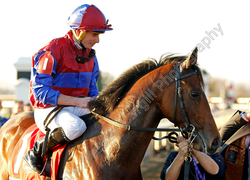 Victoria-Road-0010 
 VICTORIA ROAD (Ryan Moore) after the Breeders' Cup Juvenile Turf 
Breeders Cup Meeting, Keeneland USA, 4 Nov 2022 - Pic Steven Cargill / Racingfotos.com