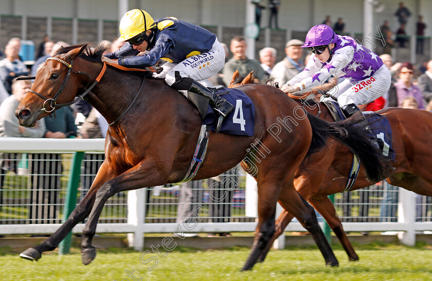 Beauty-Filly-0005 
 BEAUTY FILLY (Ryan Moore) wins The Ken Lindsay Memorial EBF Fillies Novice Stakes Yarmouth 21 Sep 2017 - pic Steven Cargill / Racingfotos.com