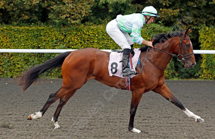 Khisah-Bu-Thaila-0002 
 KHISAH BU THAILA (Neil Callan)
Kempton 8 Sep 2023 - Pic Steven Cargill / Racingfotos.com