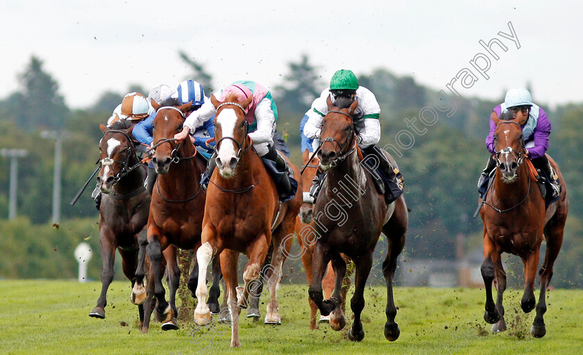 Herculean-0002 
 HERCULEAN (Ryan Moore) wins The Charbonnel Et Walker British EBF Maiden Stakes Ascot 8 Sep 2017 - Pic Steven Cargill / Racingfotos.com