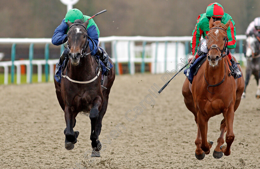 Ford-Madox-Brown-0007 
 FORD MADOX BROWN (left, Daniel Tudhope) beats BASCULE (right) in The Ladbrokes Novice Auction Stakes
Lingfield 19 Dec 2020 - Pic Steven Cargill / Racingfotos.com