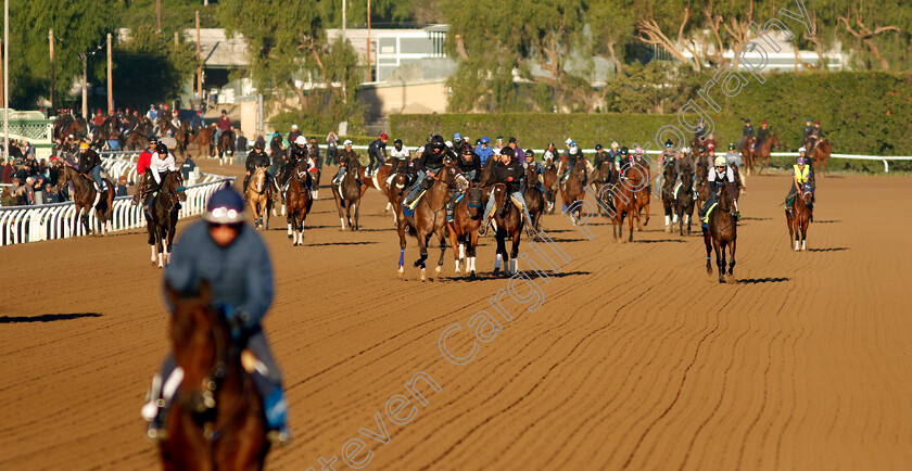 Santa-Anita-0001 
 training at the Breeders' Cup
Santa Anita 2 Nov 2023 - Pic Steven Cargill / Racingfotos.com