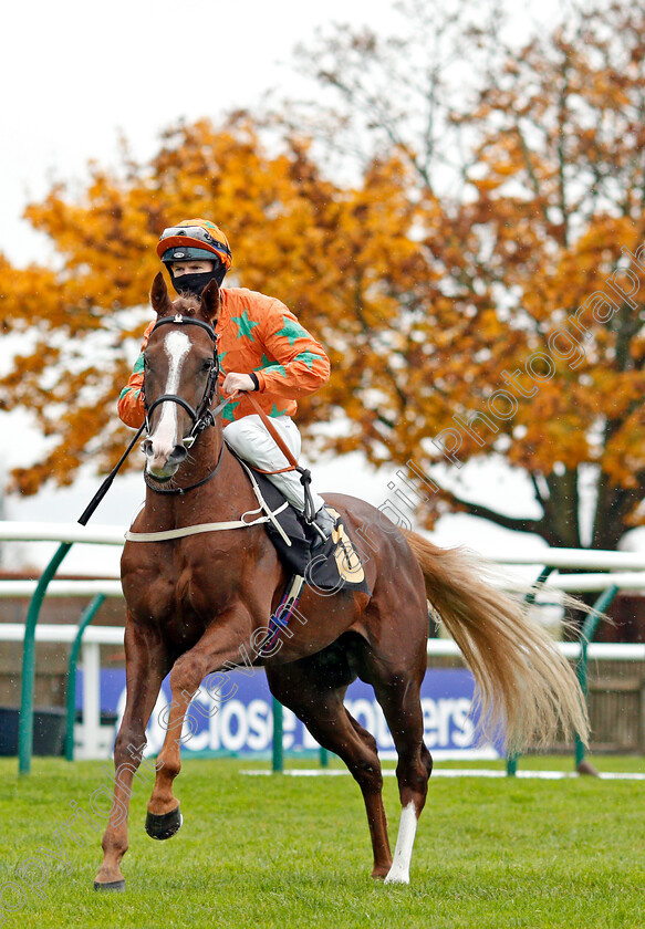 Love-Of-Zoffany-0001 
 LOVE OF ZOFFANY (Richard Kingscote)
Newmarket 21 Oct 2020 - Pic Steven Cargill / Racingfotos.com