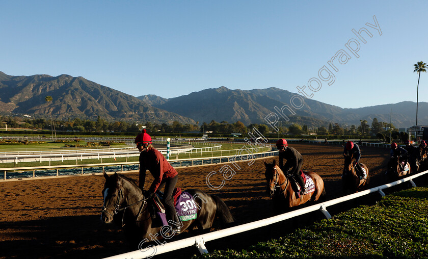 Auguste-Rodin-0002 
 AUGUSTE RODIN training at the Breeders' Cup
Santa Anita 2 Nov 2023 - Pic Steven Cargill / Racingfotos.com