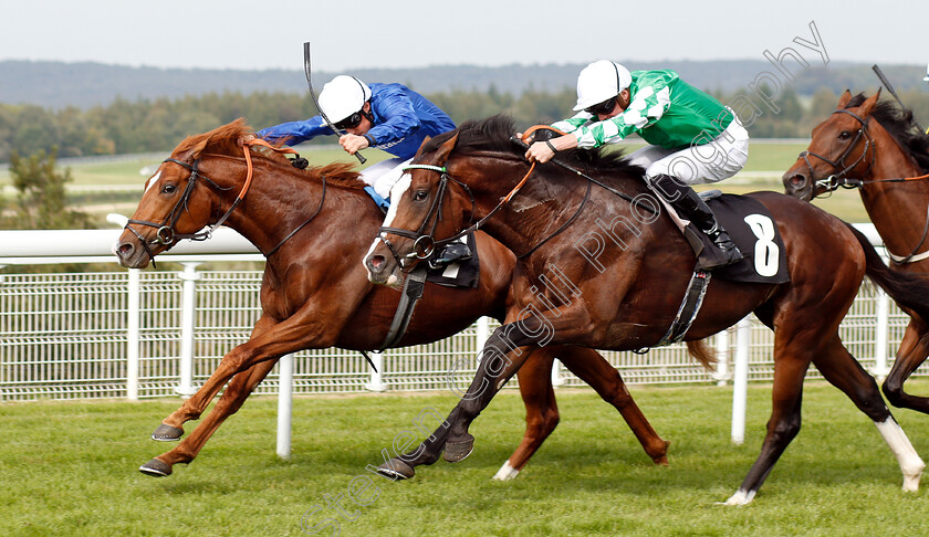 Line-Of-Duty-0004 
 LINE OF DUTY (William Buick) beats PABLO ESCOBARR (right) in The British EBF Peter WIllett Maiden Stakes
Goodwood 4 Sep 2018 - Pic Steven Cargill / Racingfotos.com