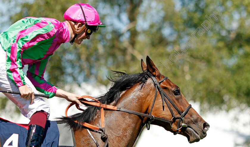 Prosperous-Voyage-0013 
 PROSPEROUS VOYAGE (Rob Hornby) wins The Tattersalls Falmouth Stakes
Newmarket 8 Jul 2022 - Pic Steven Cargill / Racingfotos.com