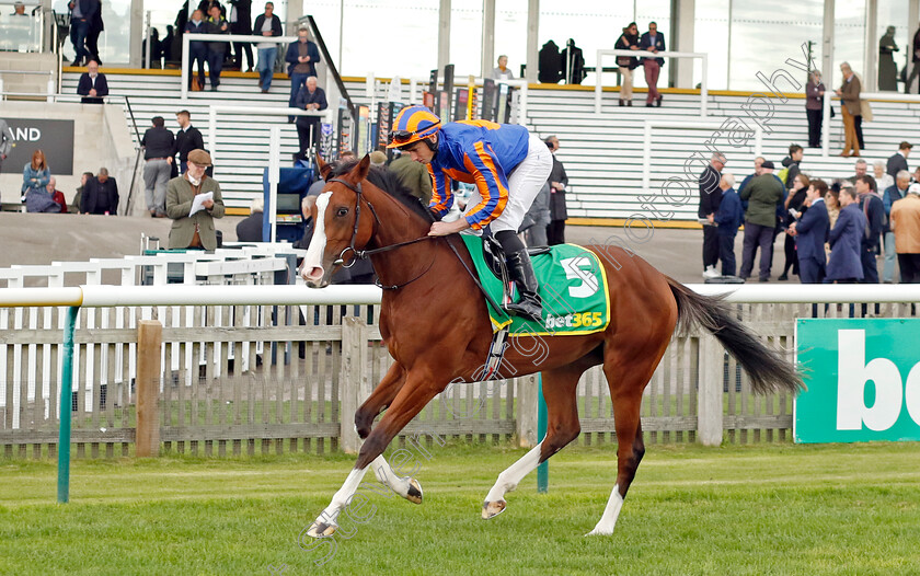 Library-0001 
 LIBRARY (Ryan Moore)
Newmarket 7 Oct 2022 - Pic Steven Cargill / Racingfotos.com