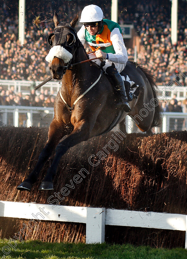 Doing-Fine-0001 
 DOING FINE (Robert Dunne)
Cheltenham 17 Nov 2018 - Pic Steven Cargill / Racingfotos.com