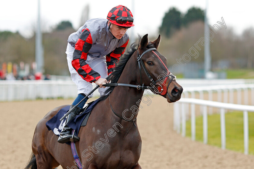 Mutara 
 MUTARA (Callum Shepherd)
Wolverhampton 12 Mar 2022 - Pic Steven Cargill / Racingfotos.com