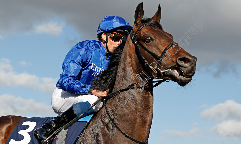 Loxley-0001 
 LOXLEY (William Buick)
Doncaster 11 Sep 2019 - Pic Steven Cargill / Racingfotos.com