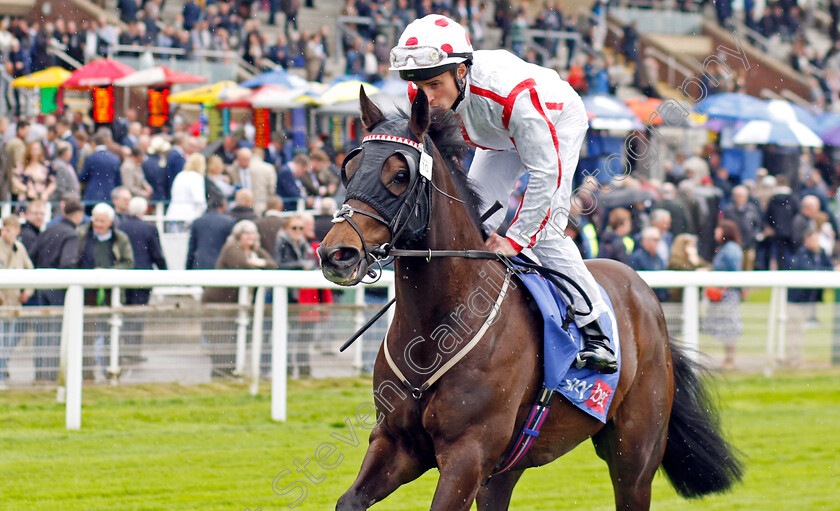 Noble-Masquerade 
 NOBLE MASQUERADE (William Buick)
York 11 May 2022 - Pic Steven Cargill / Racingfotos.com