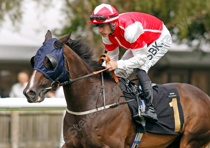 Cuban-Breeze 
 CUBAN BREEZE (Richard Kingscote)
Newmarket 30th July 2022 - Pic Steven Cargill / Racingfotos.com